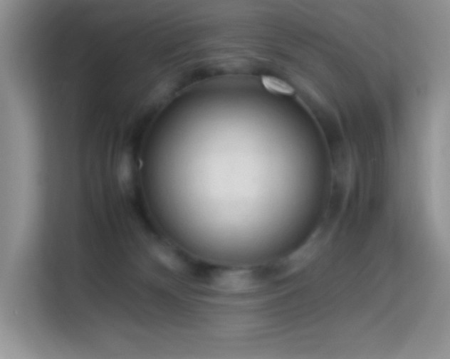 X0000114090132200910051433