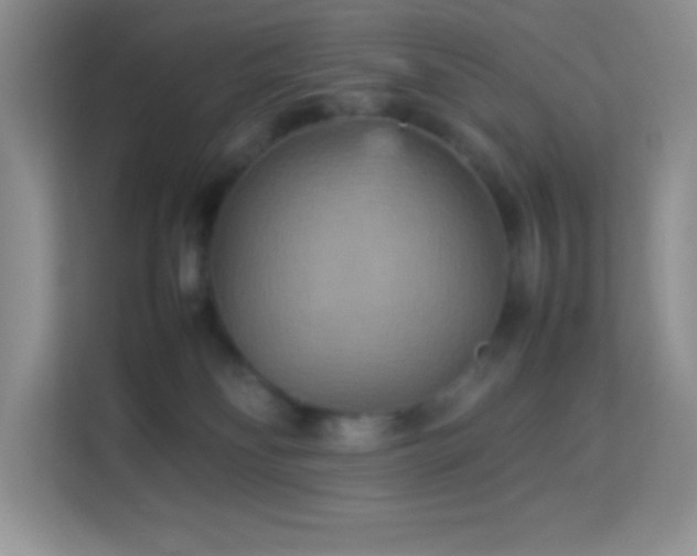 X0000114090134200910051433