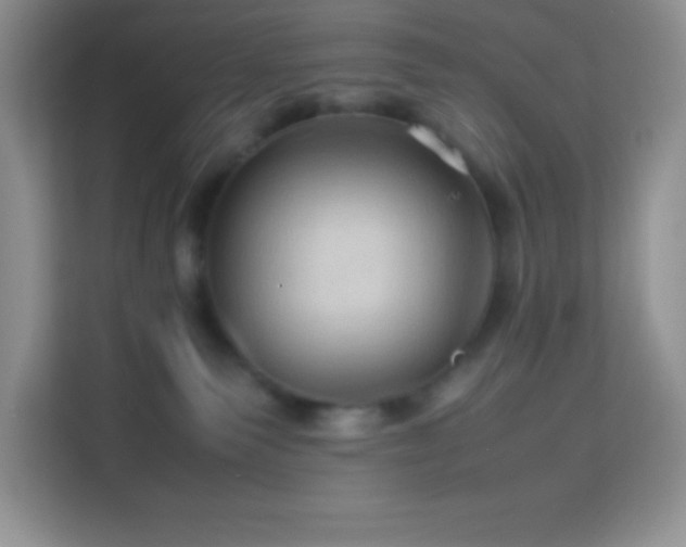 X0000114090135200910051433