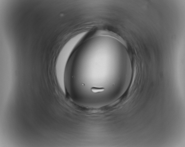 X0000114090137200910051432
