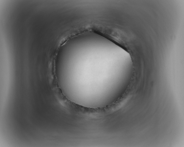 X0000114090144200910051432