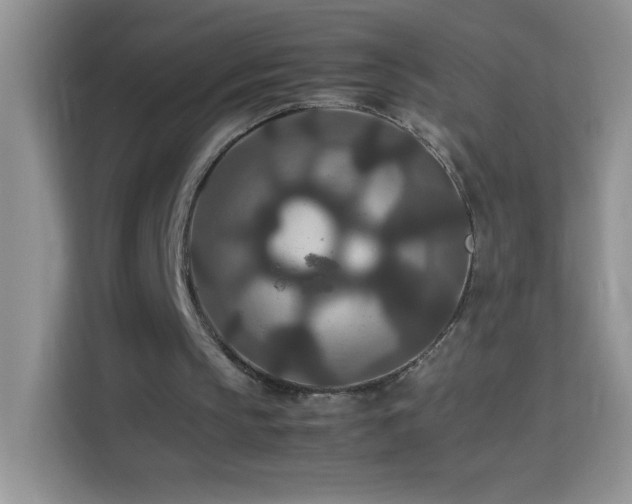 X0000114090145200910051432