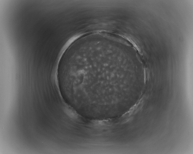 X0000114090147200910051432