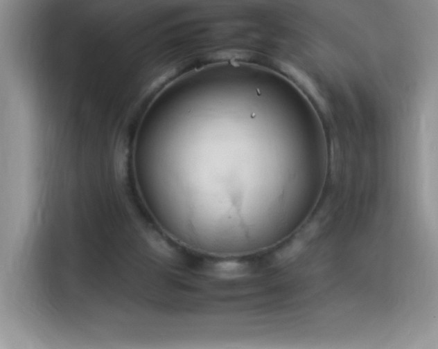 X0000114090153200910051432