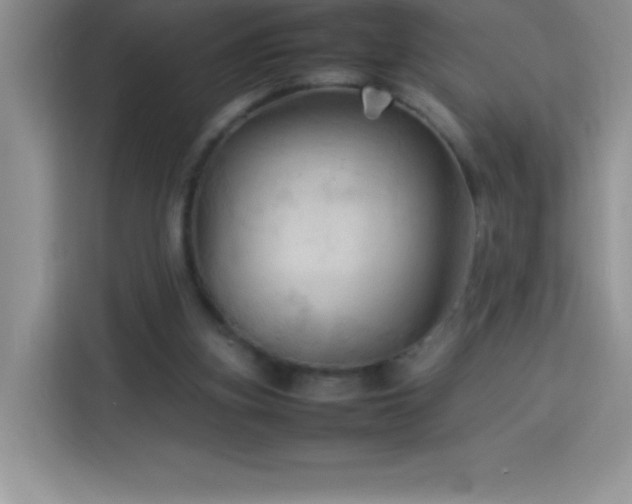 X0000114090155200910051432
