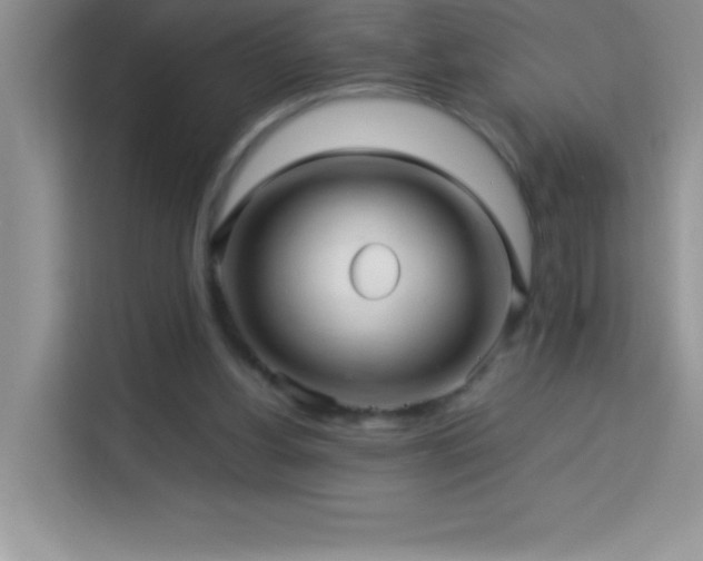 X0000114090156200910051432