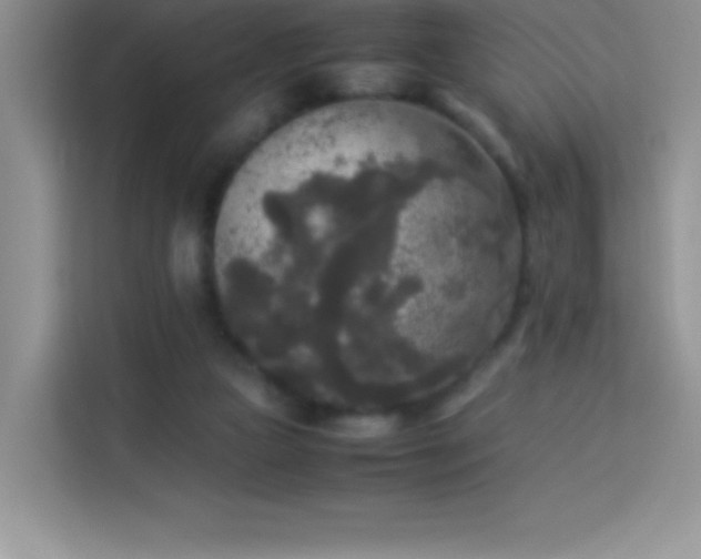 X0000114090161200910051432