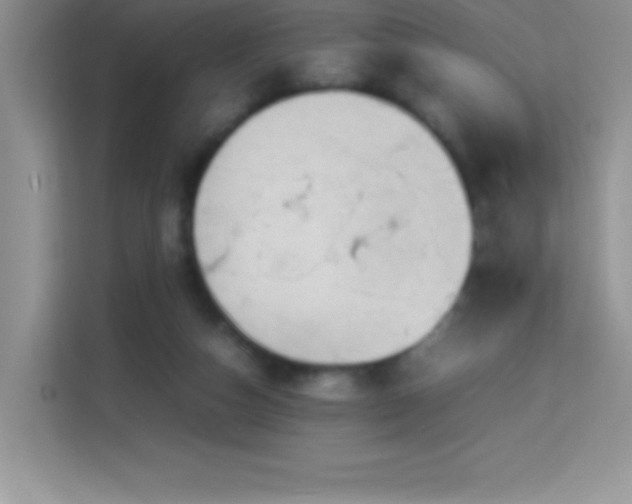 X0000114090162200910051432