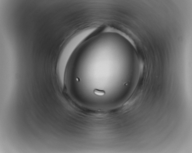 X0000114090168200910051432