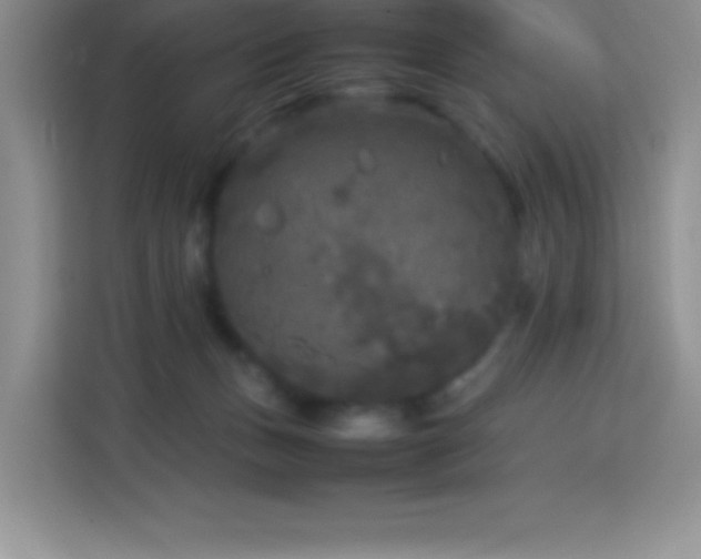 X0000114090175200910051432