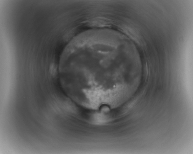 X0000114090177200910051432