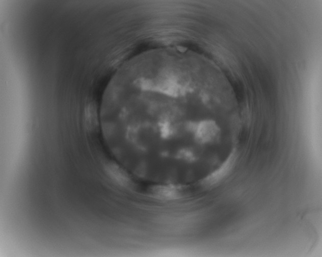 X0000114090182200910051432