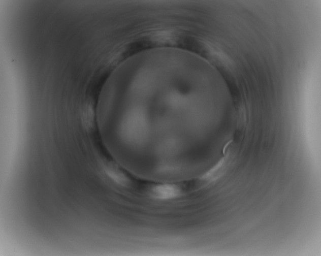 X0000114090183200910051432