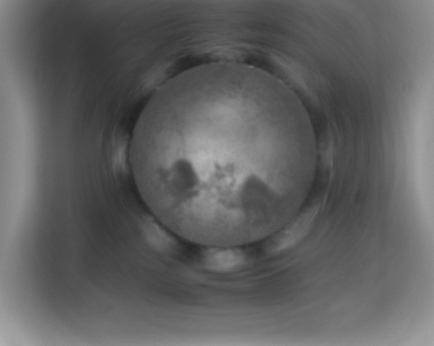 X0000114090185200910051432