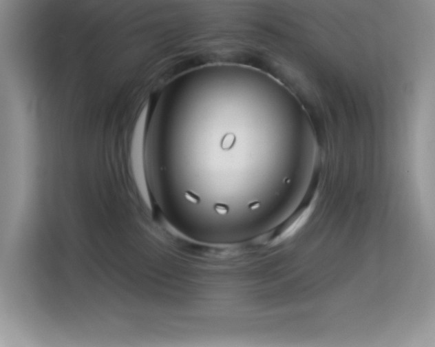 X0000114090186200910051432