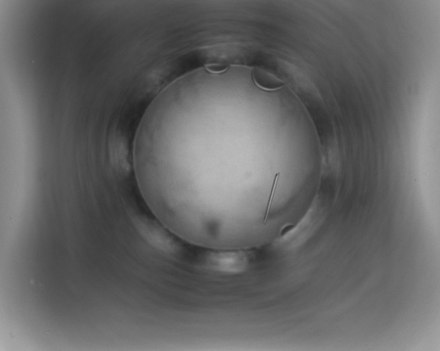 X0000114090187200910051432
