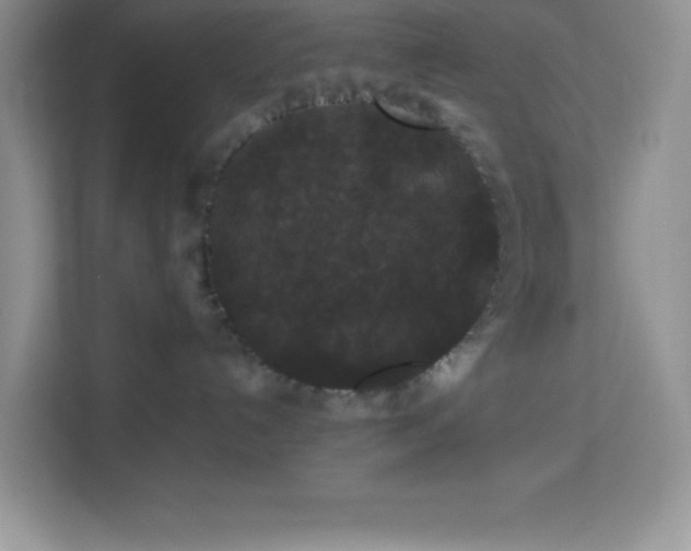 X0000114090192200910051432