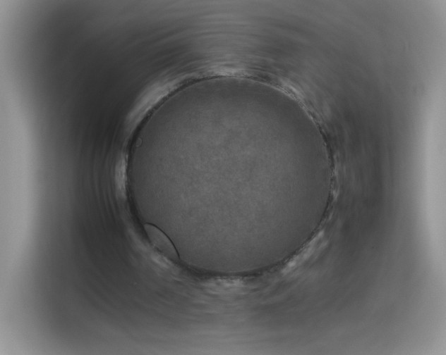 X0000114090194200910051432