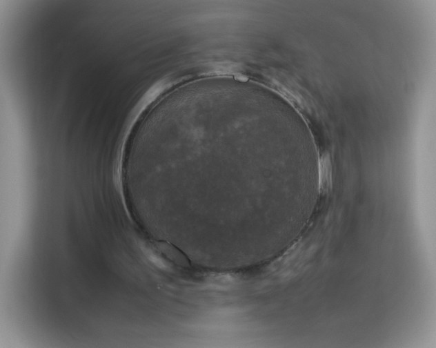X0000114090195200910051432