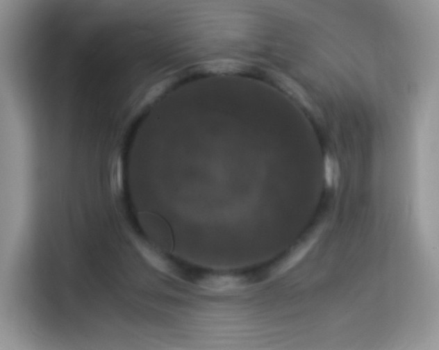 X0000114090205200910051432