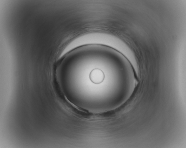 X0000114090207200910051432