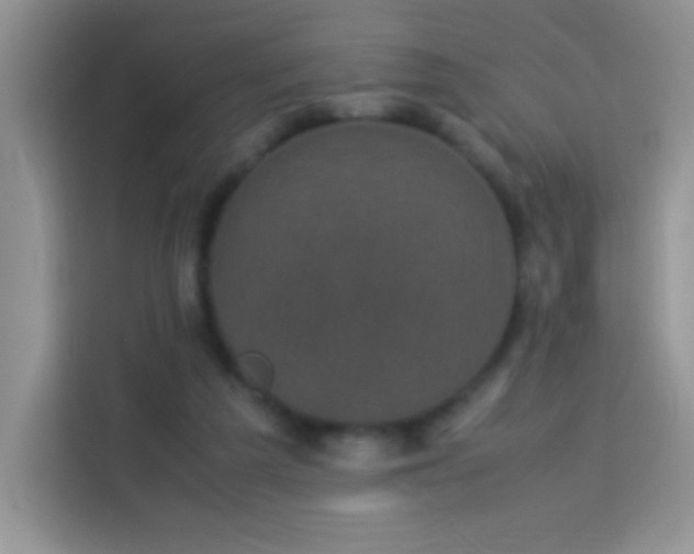 X0000114090209200910051432