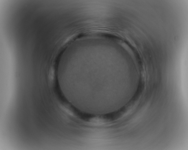X0000114090211200910051432