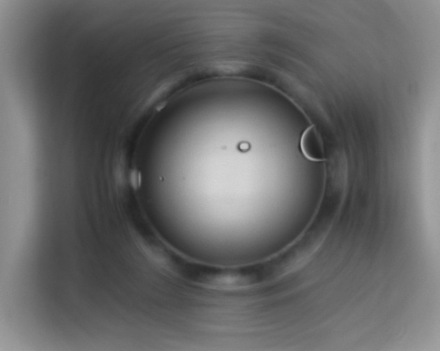 X0000114090212200910051432