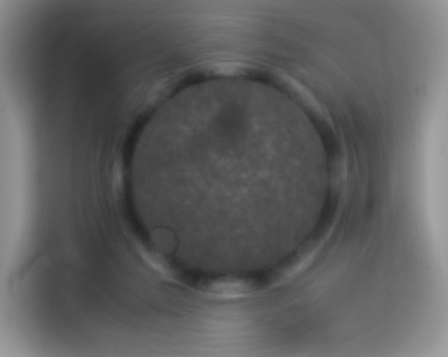 X0000114090213200910051432