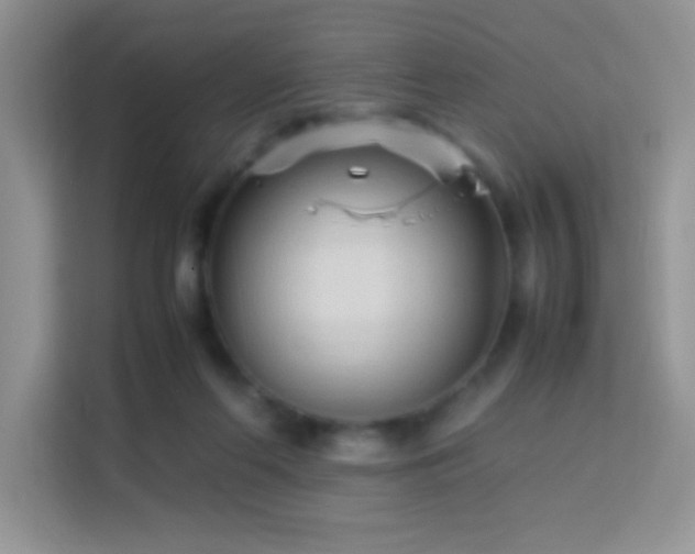 X0000114090214200910051431