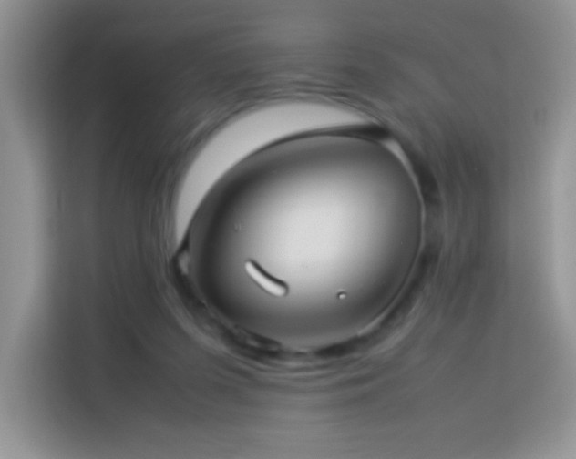 X0000114090215200910051431