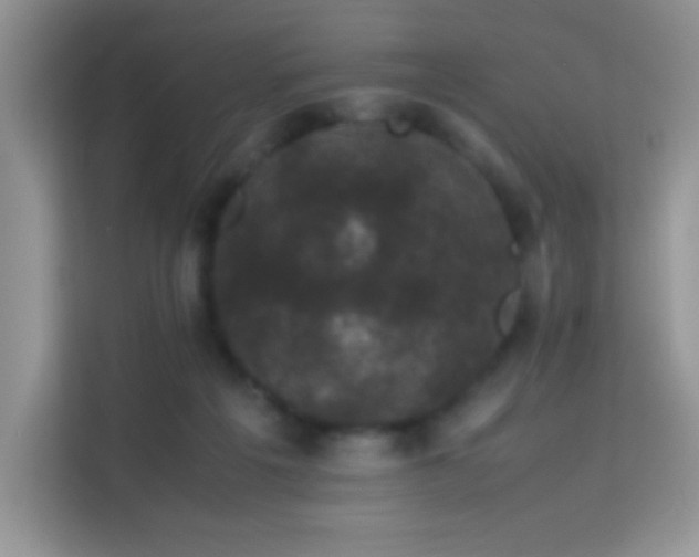 X0000114090217200910051431