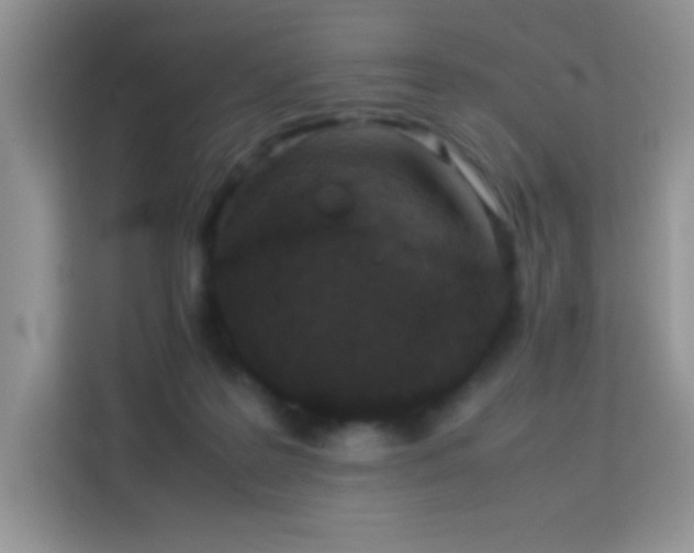 X0000114090219200910051431