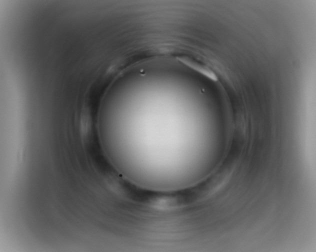 X0000114090220200910051431