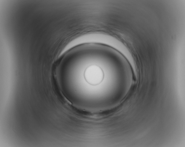 X0000114090221200910051431