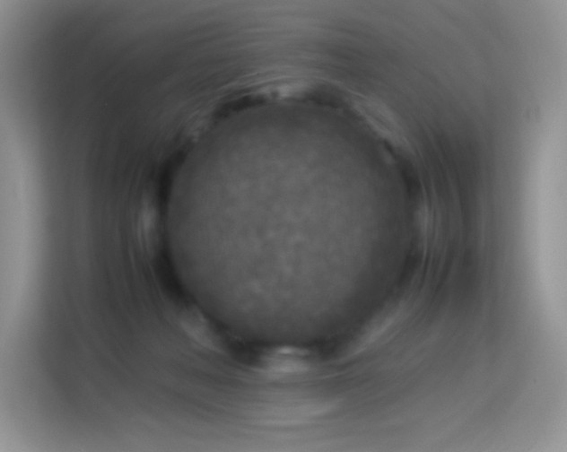 X0000114090222200910051431
