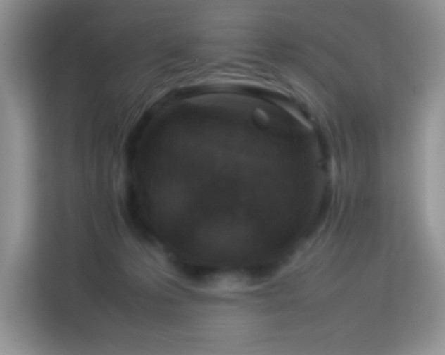 X0000114090223200910051431