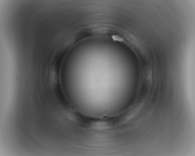 X0000114090224200910051431