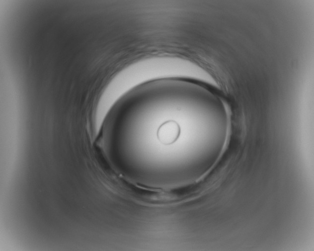 X0000114090225200910051431