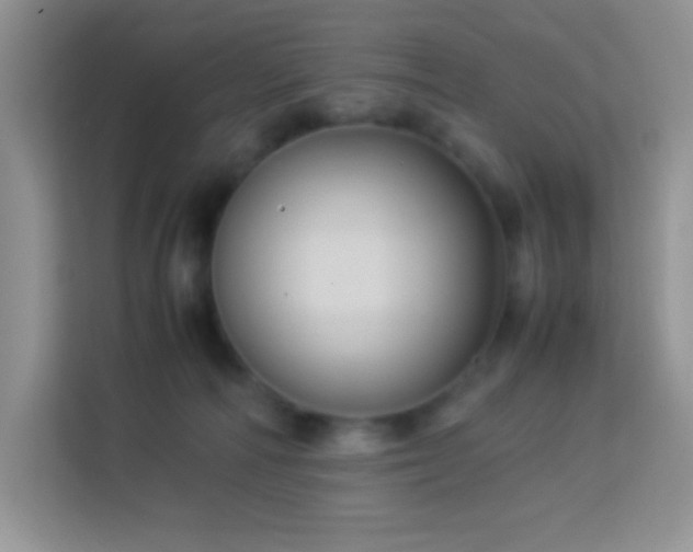 X0000114090226200910051431