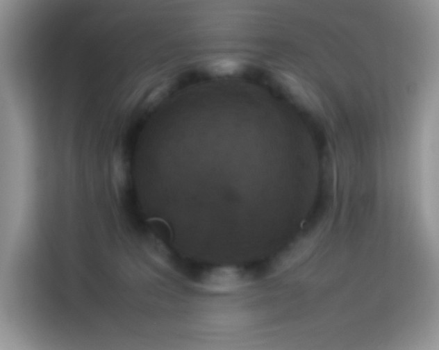X0000114090227200910051431