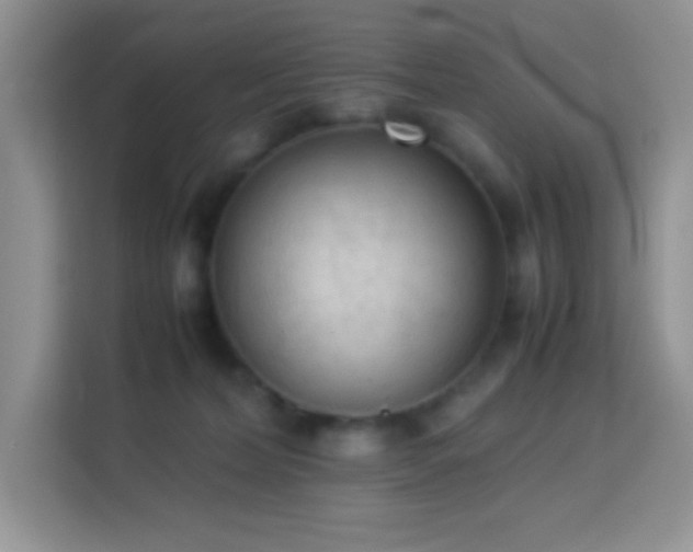 X0000114090228200910051431