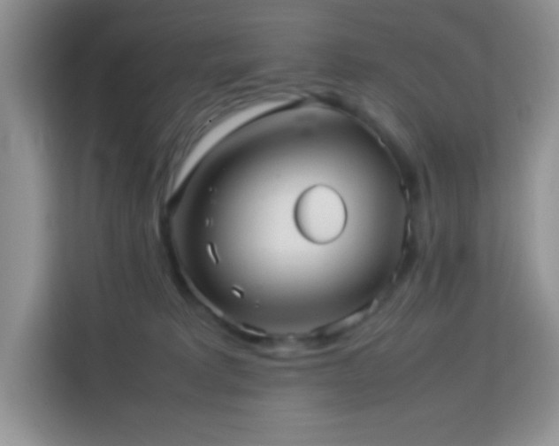 X0000114090229200910051431