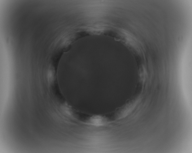 X0000114090231200910051431