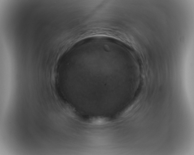 X0000114090235200910051431