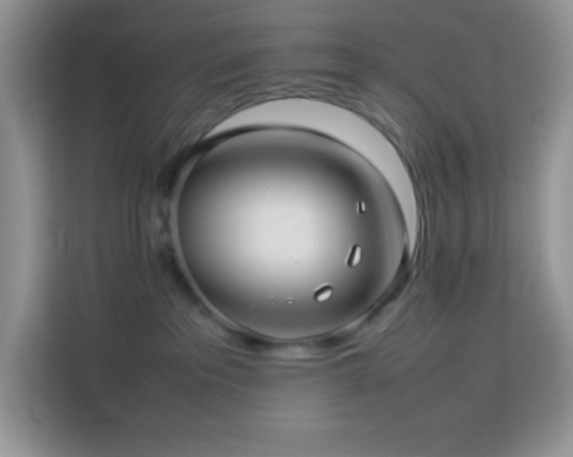 X0000114090237200910051431