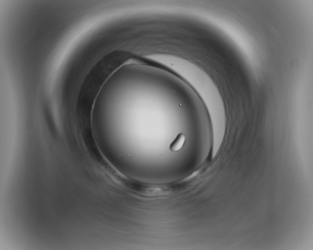 X0000114090239200910051431