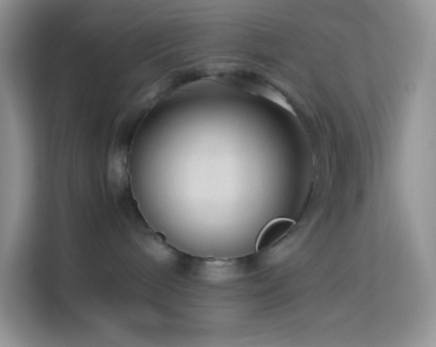 X0000114090240200910051431