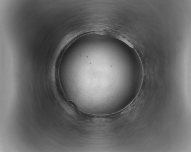 X0000114090242200910051431
