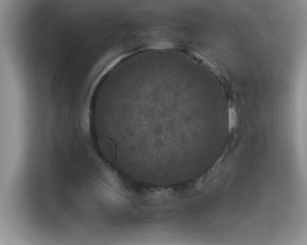X0000114090243200910051431